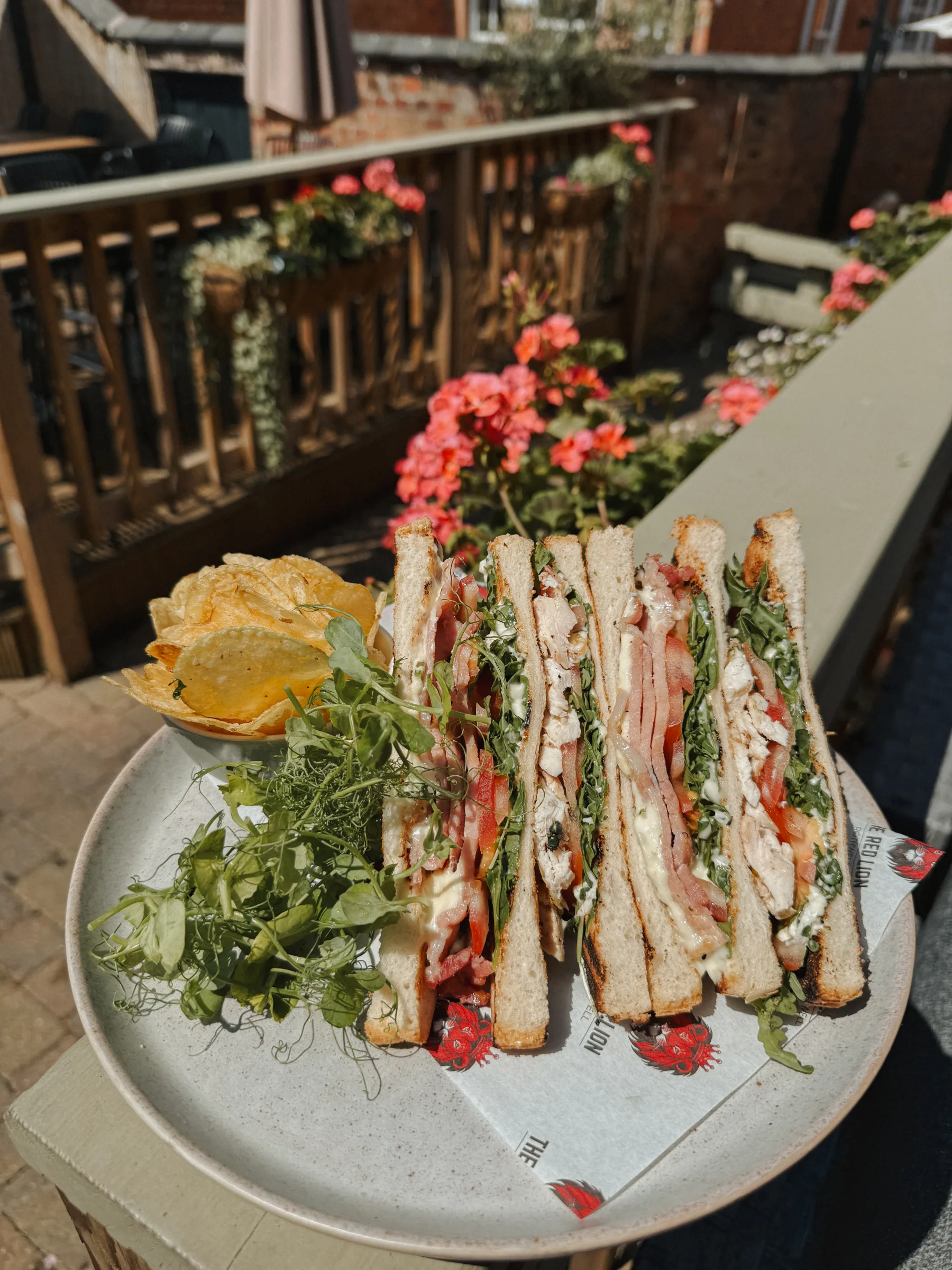 Chicken Club Sandwich